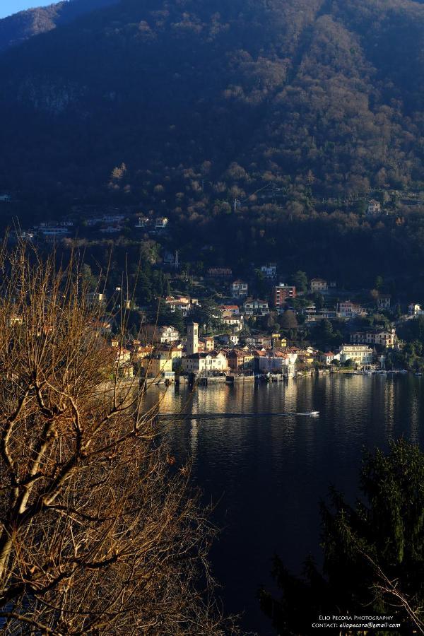 Appartamenti Monti Como Lake Brunate Extérieur photo